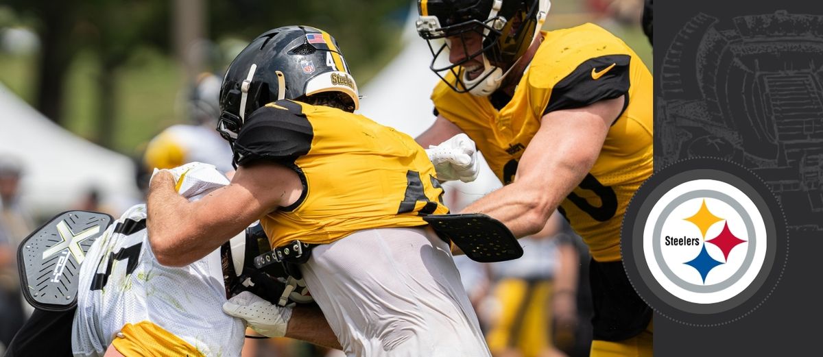 Practice ends with team-wide brawl taken in Latrobe, Pa. (Steelers)